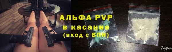spice Аша